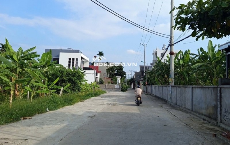 BÁN ĐẤT, THÔN TỰ LẬP, XÃ ĐẶNG CƯƠNG, HUYỆN AN DƯƠNG, HẢI PHÒNG